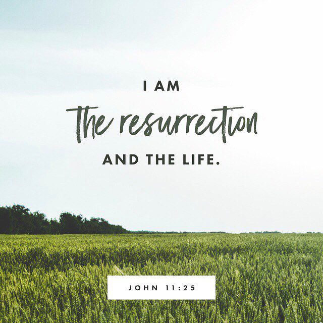 Jesus said to her, “I am the resurrection and the life. Whoever believes in me, though he die, yet shall he live, and everyone who lives and believes in me shall never die.”