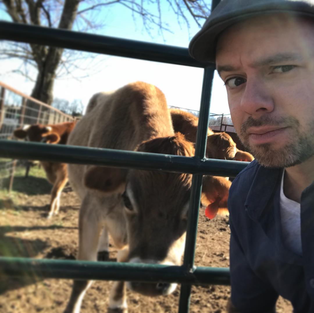 Meanwhile on the farm…. Happy Thanksgiving! #MooCow