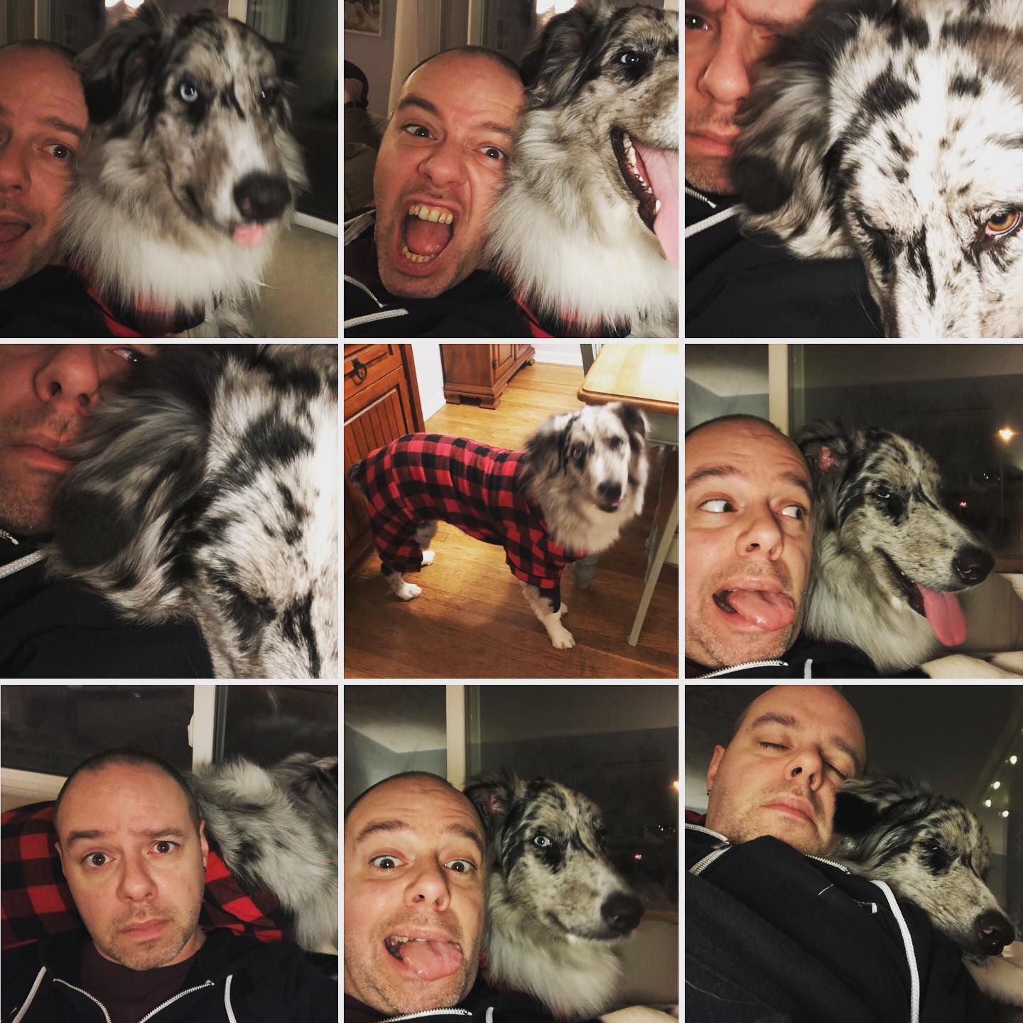 Merry Christmas! Just some holiday shenanigans from Walker Dog and I.